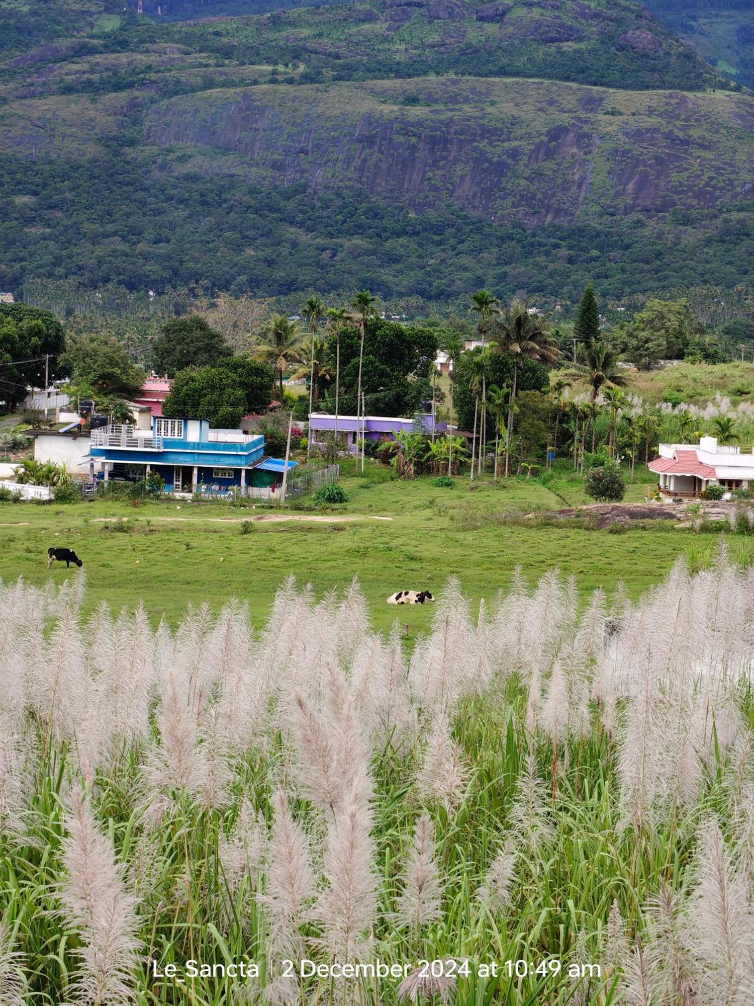 Homestay Le Sancta *